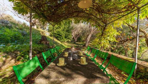 La Casa Dei Limoni, Camaiore, Pet Friendly, Wifi - Foto 4, Garden