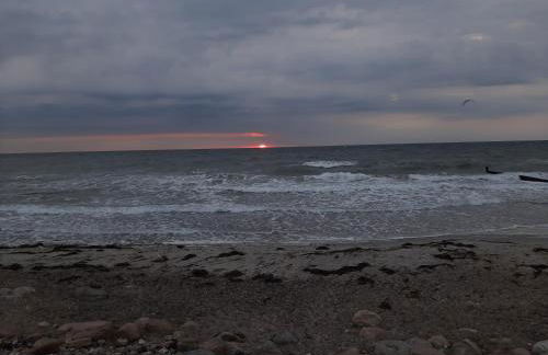 Rosmarinchen - Foto 13