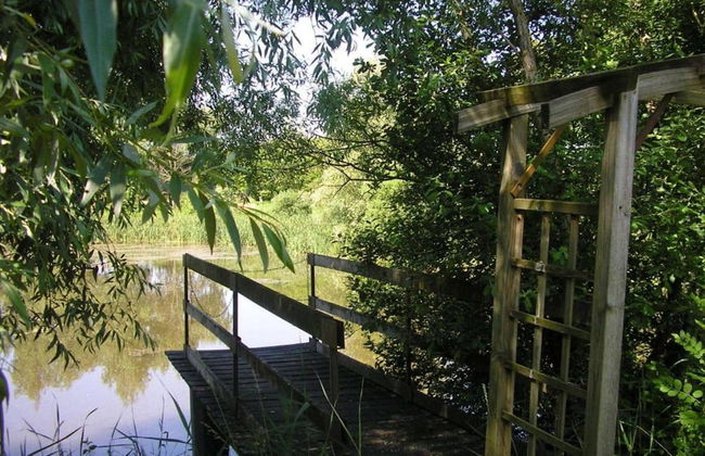 Charming Holiday Home in Gargas With Swimming Pool - Photo 35