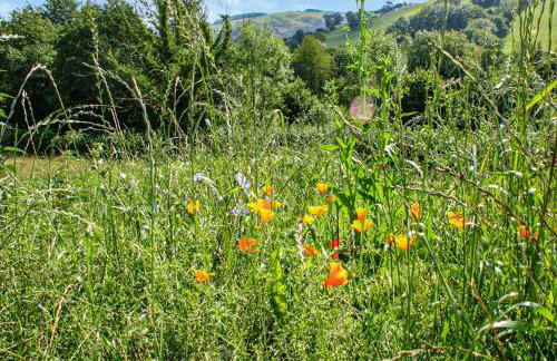 Creyr Glas Pod -Uk41796 - Foto 30