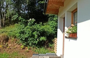 Pod Brzozami - Foto 1