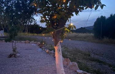 Thalia's House - Foto 51