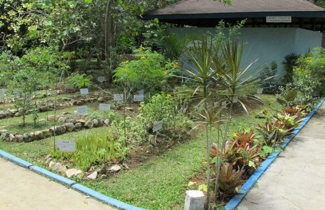 Martha Brae River Rafting - Photo 4