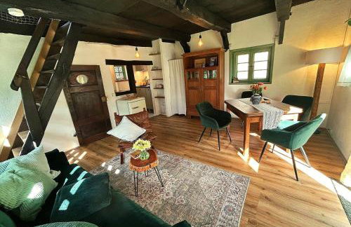 Idyllisches Ferienhaus Nähe Dümmer See Auszeit Sauna Natur - Foto 7
