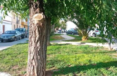 Apartamento San Miguel - Foto 2