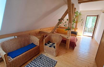 Ostoja Leśna Cisza - Foto 18