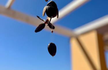 La Casita Naturaleza - Photo 27