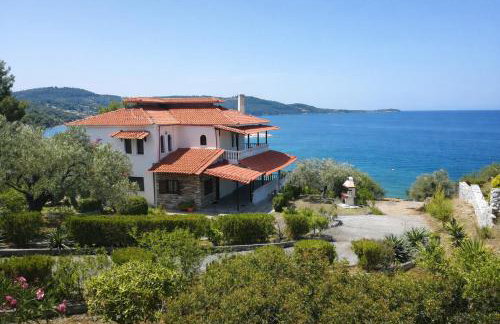 Blue Dandelion - Photo 23