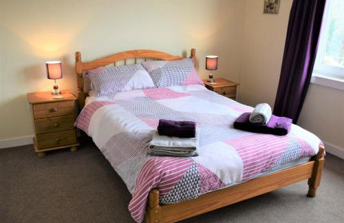 Springfield - Foto 10