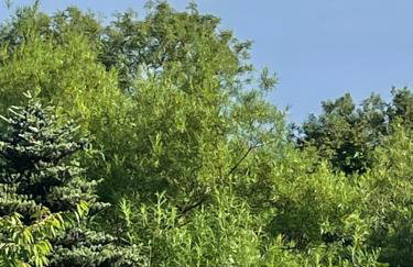 Loughview Lodge - Foto 39