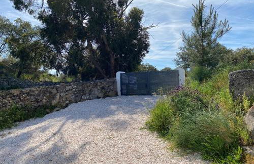 Vale Penedo - Foto 22