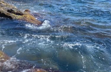 Casa Fiumara,Aeroporto,Aquario Genova - Foto 3