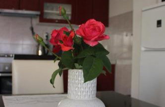 Apartman Humac - Foto 9