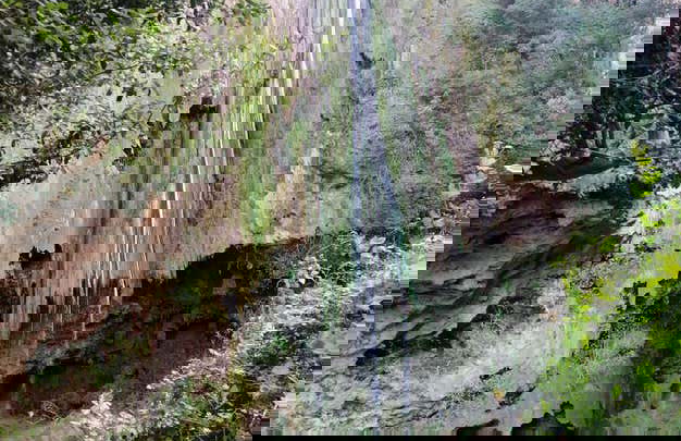 Excursão privada às cascatas de Akchour - Foto 1