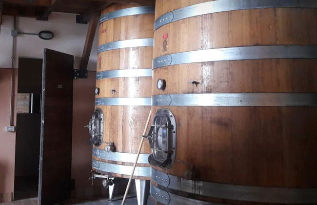 Agricola Lanciani - Foto 12