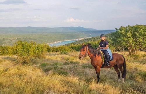 Casa Famiglia - Foto 35