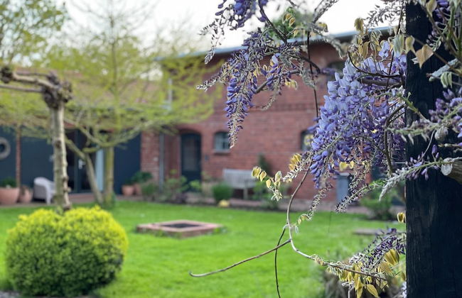 Farmhouse Near Saaler Bodden Lagoon - Foto 34