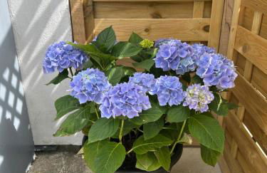 The Annexe Long Melford - Foto 32