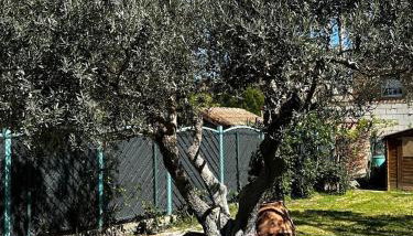 Amplio y Cómodo chalet a 15 minutos del centro con piscina y pistas de tenis - Foto 4, Garden, Garden view