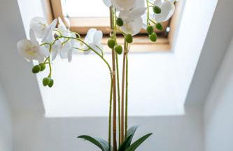 Dachgeschosswohnung mit Klimaanlage-15min vom Europa Park entfernt - Foto 34