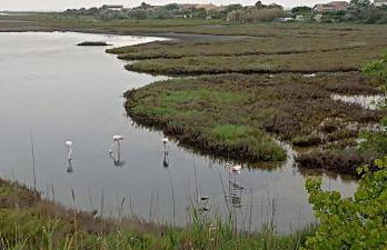 Janislove34 Maison 1 Chambre avec accès piscine dans résidence à Palavas les flots - Foto 23