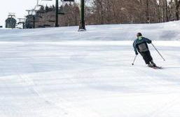 Panther Mountain Lodge - Photo 14