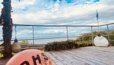 La sauvagine les pieds dans l'eau - Foto 5