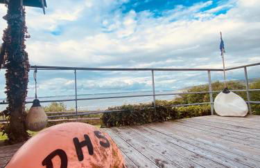 La sauvagine les pieds dans l'eau - Foto 5