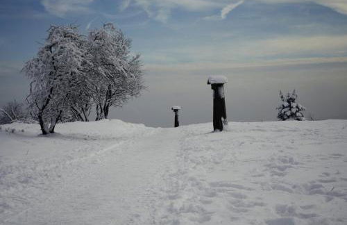 de Vinkenborg 8 pers nabij Winterberg - Foto 9