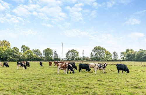 The Old Dairy - Photo 19