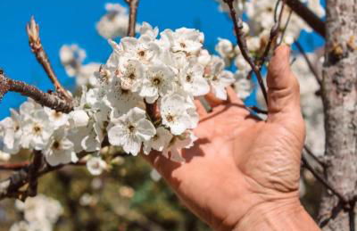 Agriturismo La Sorgente - Foto 22