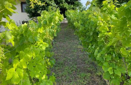 Serenity House - Foto 36