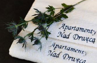 Apartamenty Nad Drwęcą - Foto 28