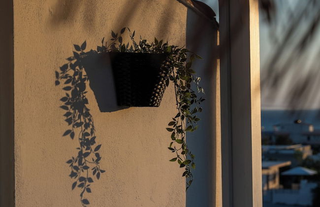 Kalamaki-Sunset - Foto 34