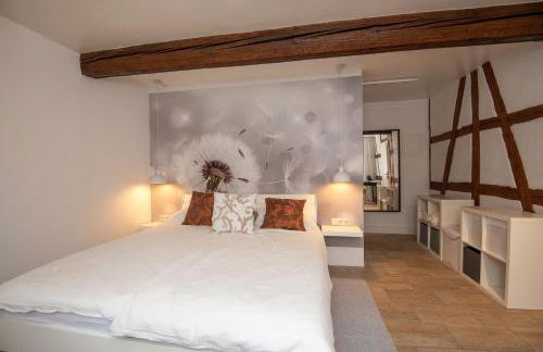 Ferienwohnung Eliese in Suhl - Foto 18