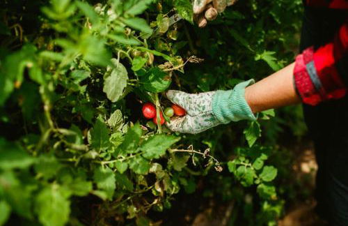 Leigh Park Country House Hotel & Vineyard, BW Signature Collection - Foto 27