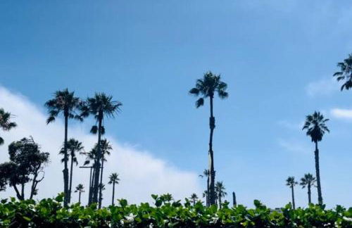 Beachfront Paradise - Foto 15