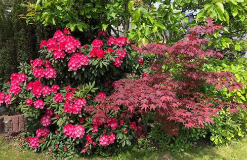 Bel Art Etage mit großem Parkplatz - Foto 33