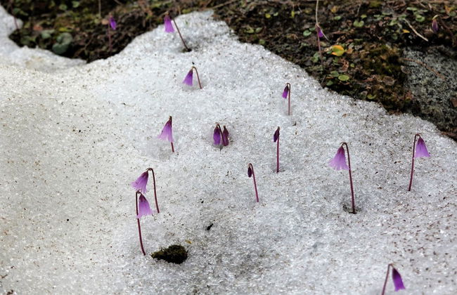 LuxLax 2. OG Süd - Foto 51