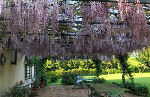 Commenda Cavalieri Ordine di Malta - Foto 7