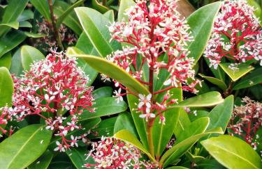 TheWeeHouseOnTheHill - Foto 31