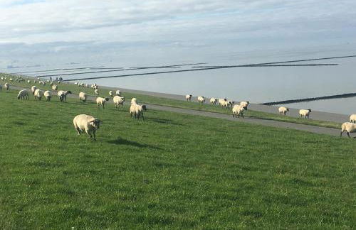 Ferienkate Norddeich - Foto 24