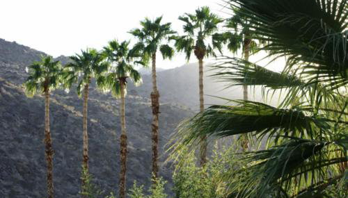 Villa Thornhill - Foto 3