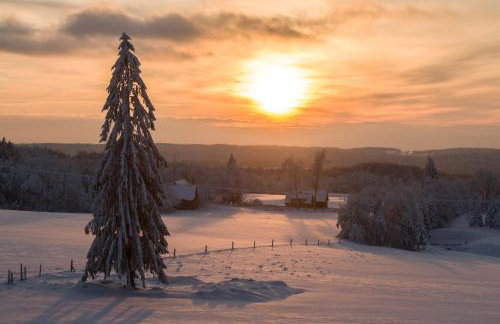 Hotel SPA Dr Irena Eris Wzgórza Dylewskie - Siedliska - Foto 38