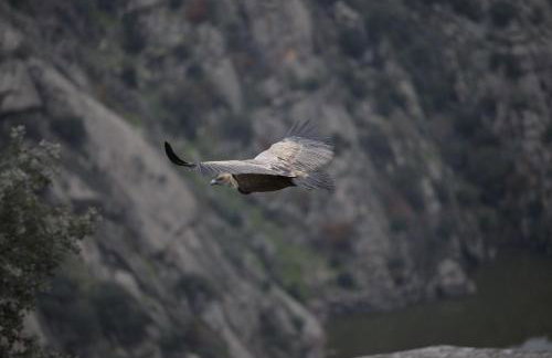 VuT Pozo de los humos - Foto 16