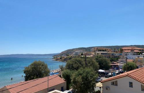 Terry Studio - Foto 62