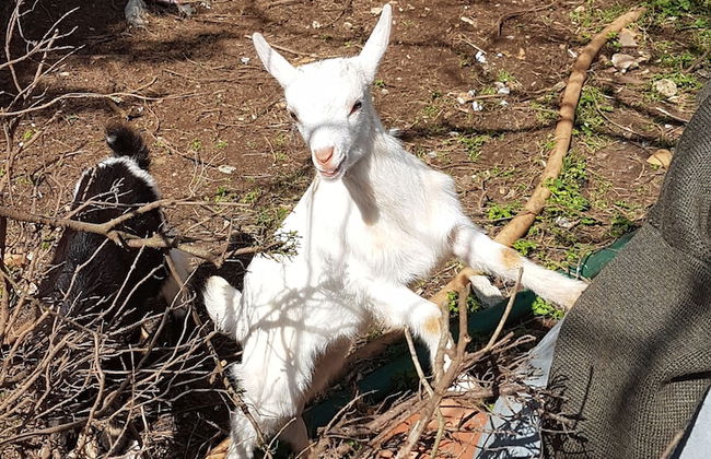Le Radici Casa Vacanze - Foto 70