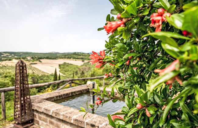 Bel Giardino - Foto 74