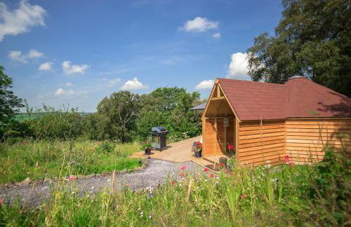 Dol Y Mynydd The Mountain Meadow - Cottage - Photo 32