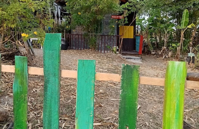 peaceland farmstay - Photo 79